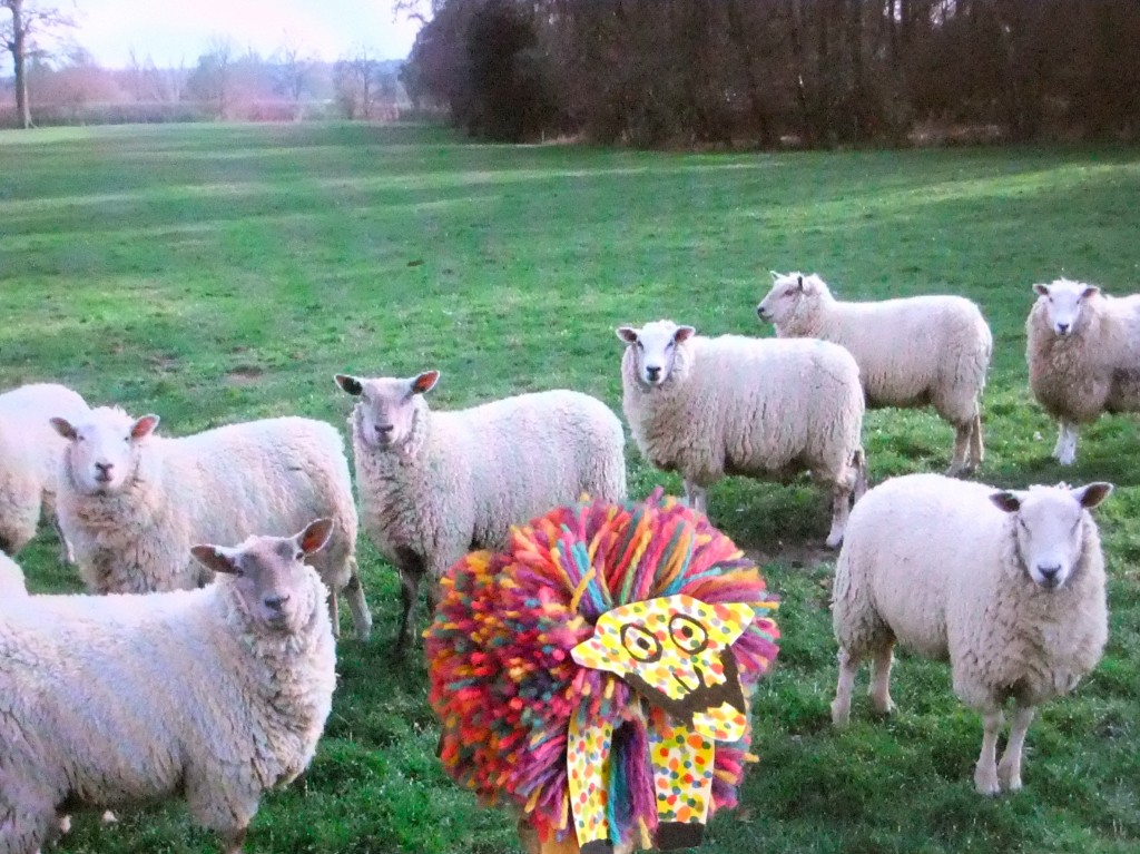 Shem the Sheep Pom Pom Wool Join the Flock